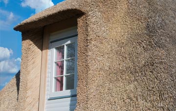 Mail thatch roof disadvantages
